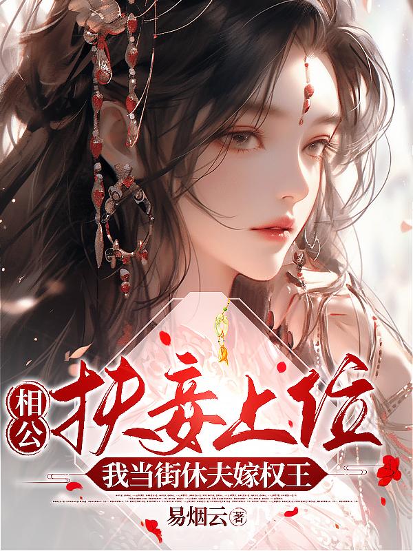 相公妻妾成群小说