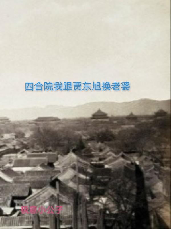 四合院之我是贾家