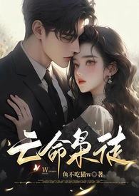 亡命枭徒完结了吗
