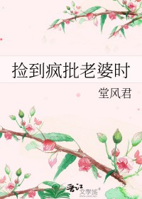 捡来的老婆拐来的夫人
