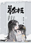 养金枝玉叶适合室内还是室外养
